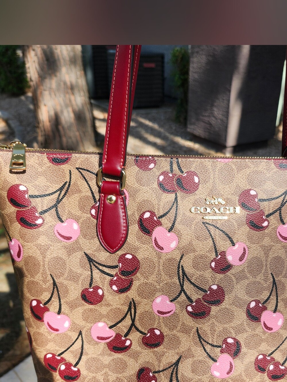 Coach Cherry-Print Signature Tote in Brown & Burgundy